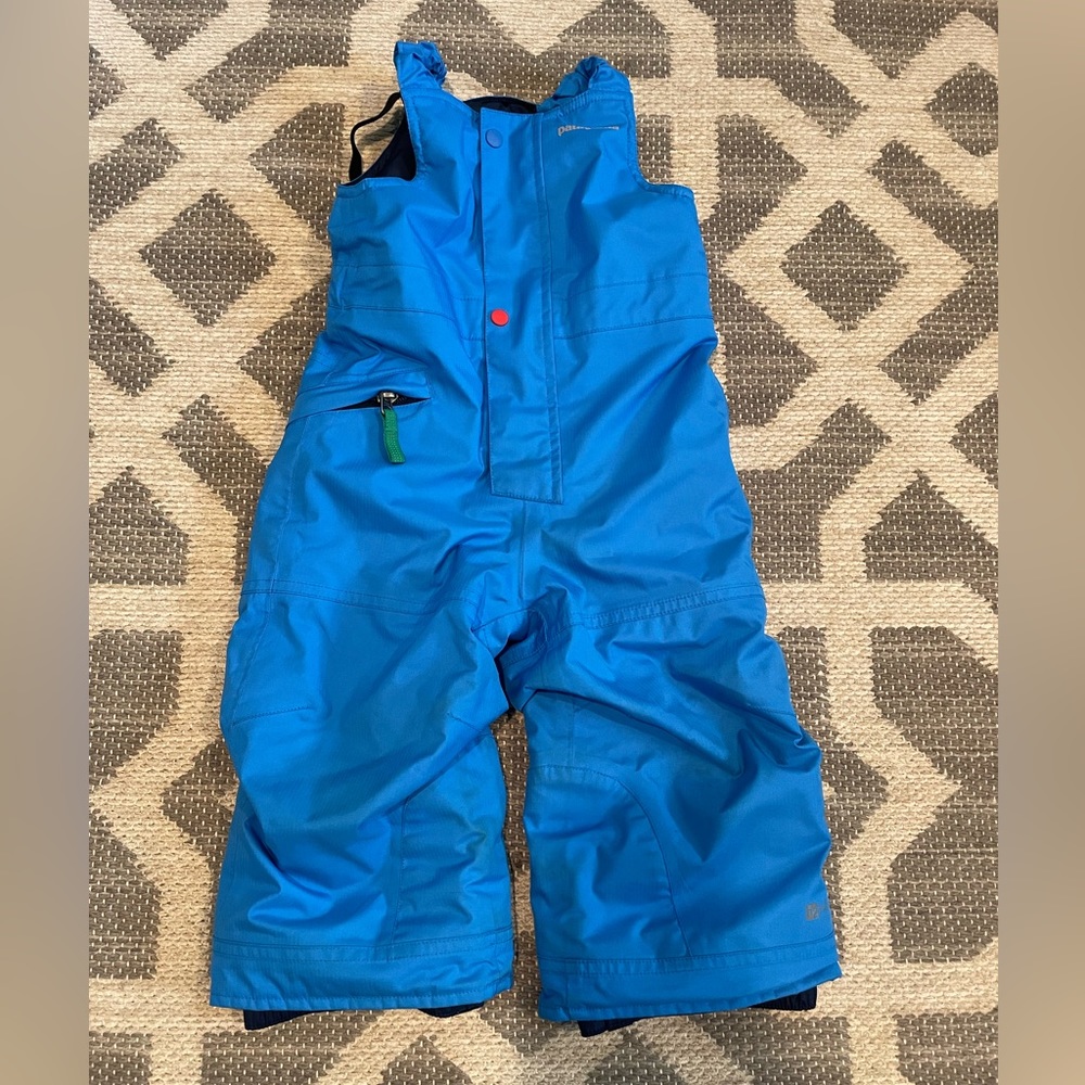 Patagonia snow pile bib snow pants